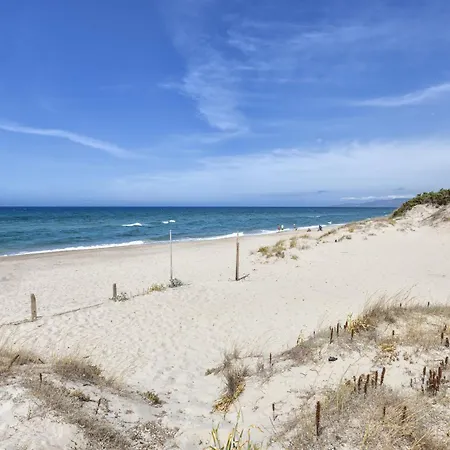 La Valle Degli Ulivi *