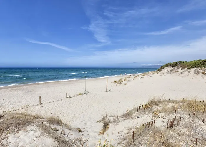 La Valle Degli Ulivi *