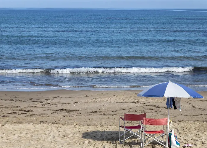 La Valle Degli Ulivi *